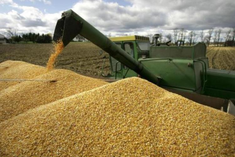 Import of Russian grain triples in Azerbaijan