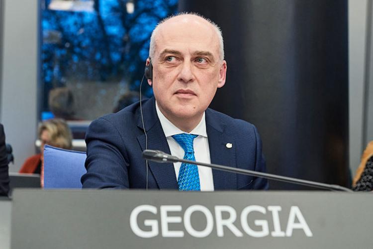 2021_04_15_David Zalkaliani_MFA_of_Georgia.jpg