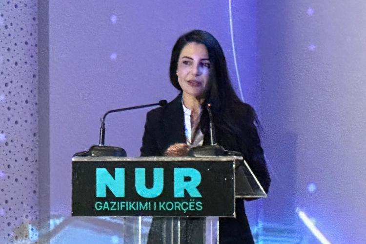 Public presentation of SOCAR project held in Albania