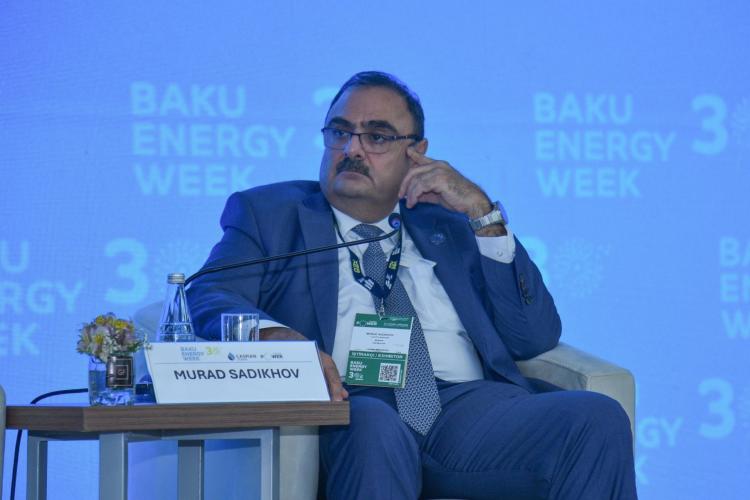 New paths of Azerbaijan-UAE cooperation: from traditional energy to green economy